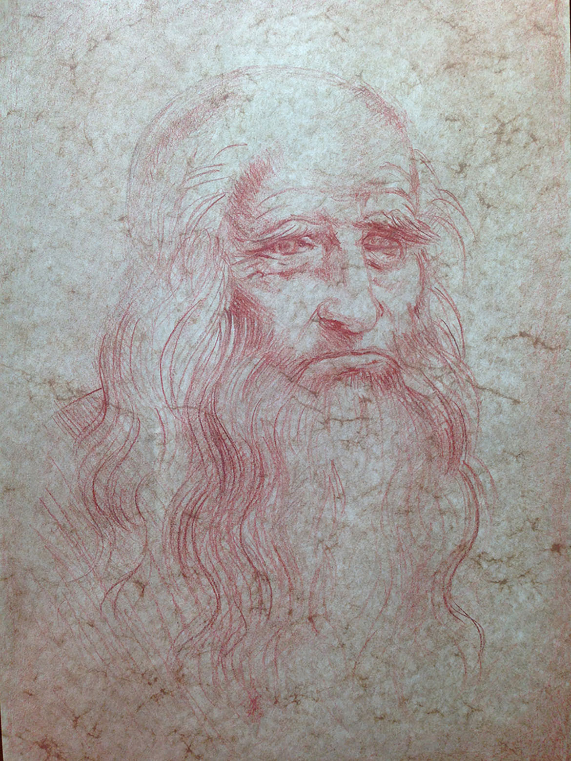 Leonardo